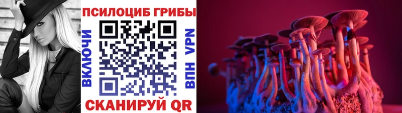 Галлюциногенные грибы ЛСД  Купить  Славгород 